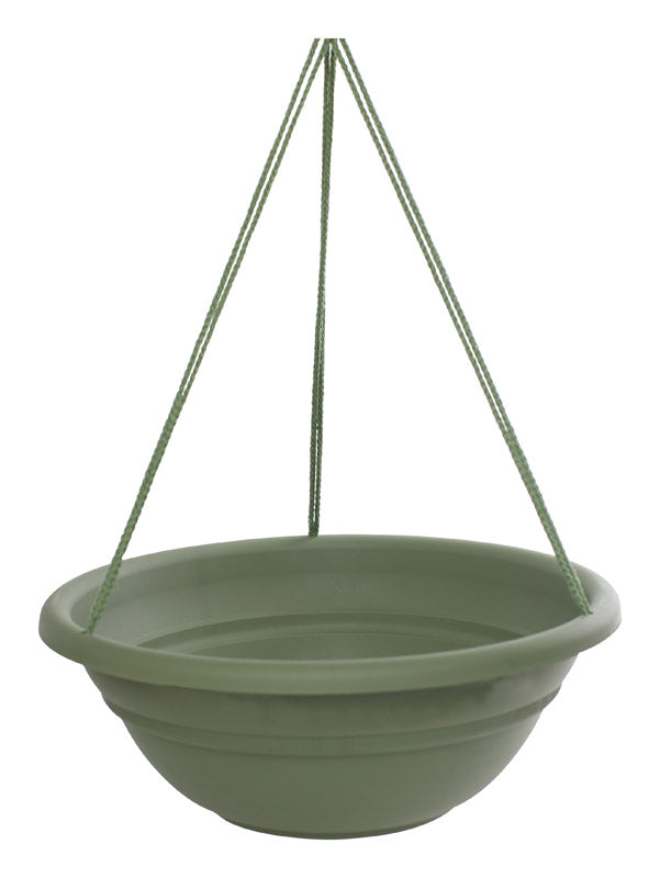 BLOEM LLC, Bloem  17 in. Dia. Resin  Hanging Basket  Living Green