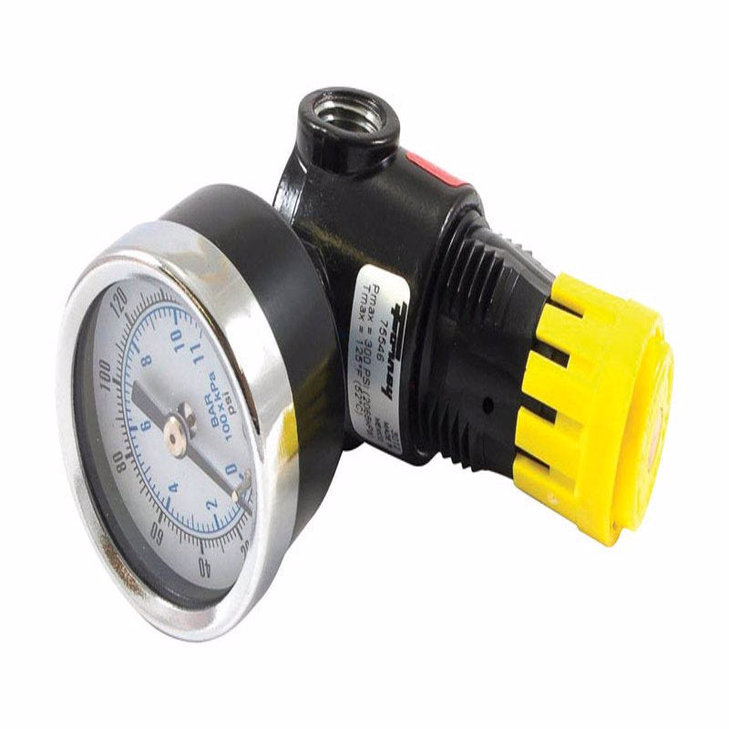 Forney Industries Inc, Forney Plastic Mini Regulator with Gauge 1/4 in. NPT 300 psi 1 pc